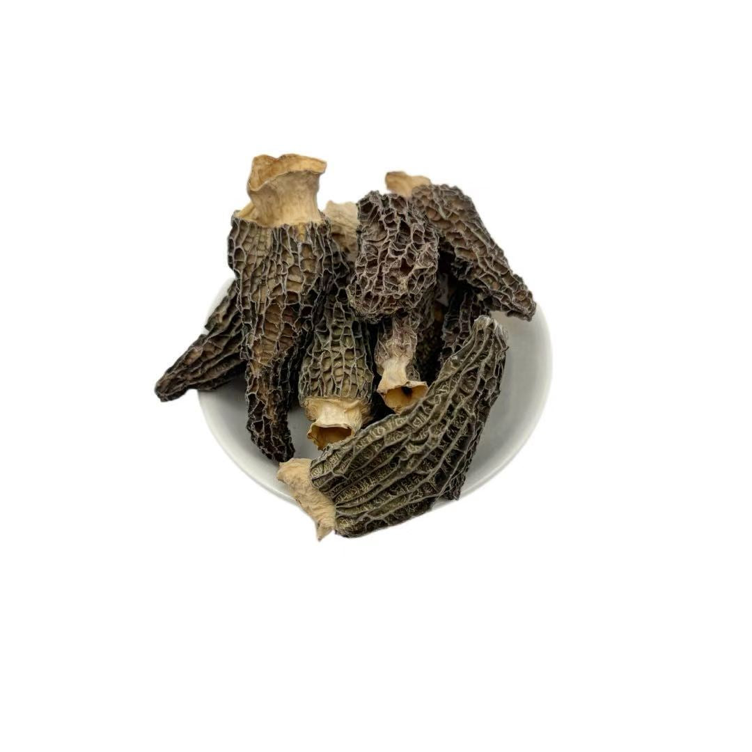 极品羊肚菌
