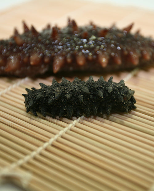 Kanto Sea Cucumber(28-35 p-LB,China)